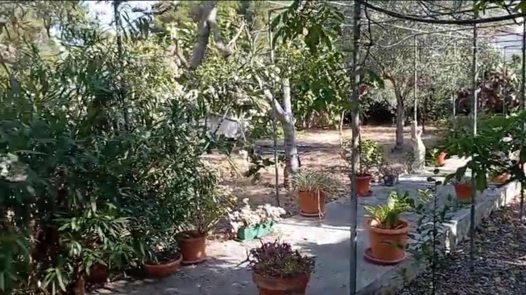 Casa Vacanze Il Carrubo Leporano Exteriér fotografie